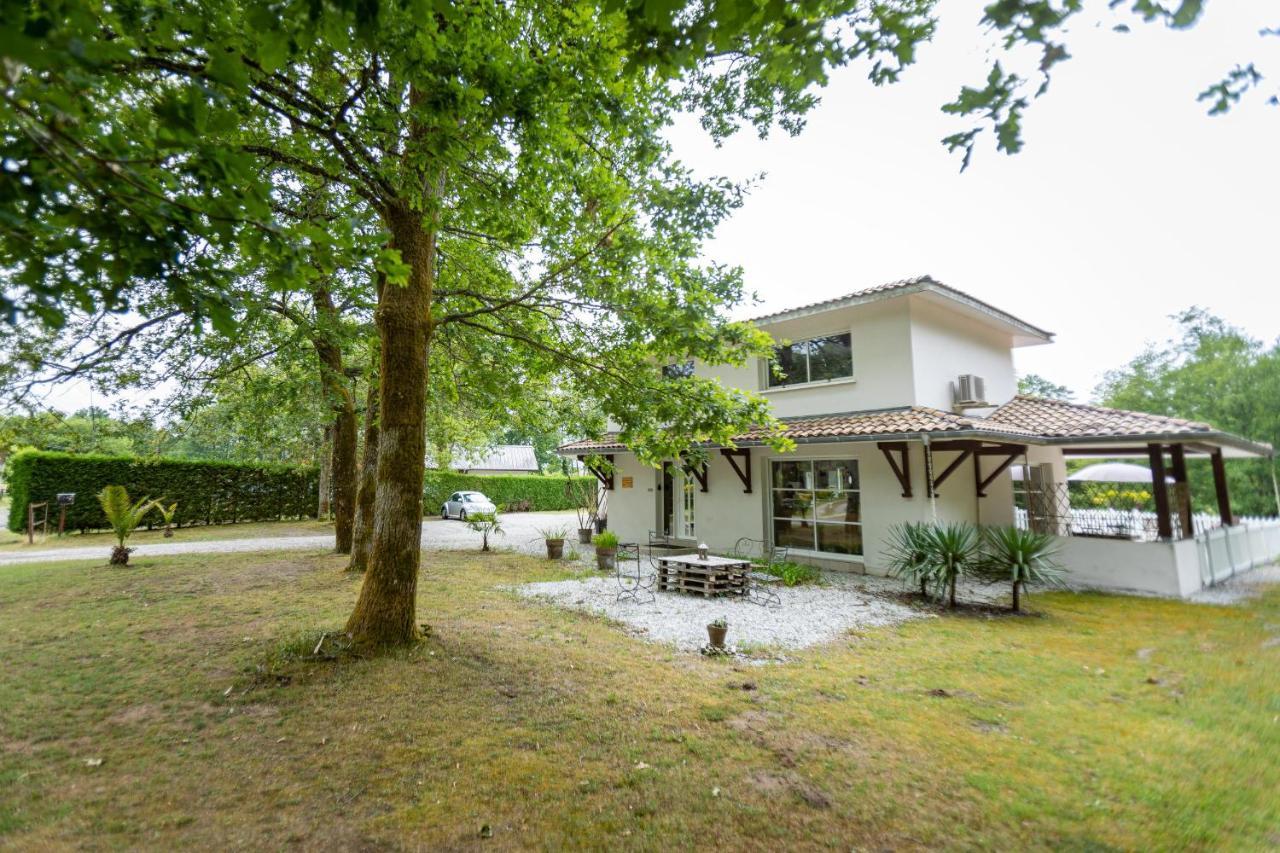 La Villa Minvia Les Landes Entre Mer Et Montagne Saint-Vincent-de-Paul  Екстериор снимка