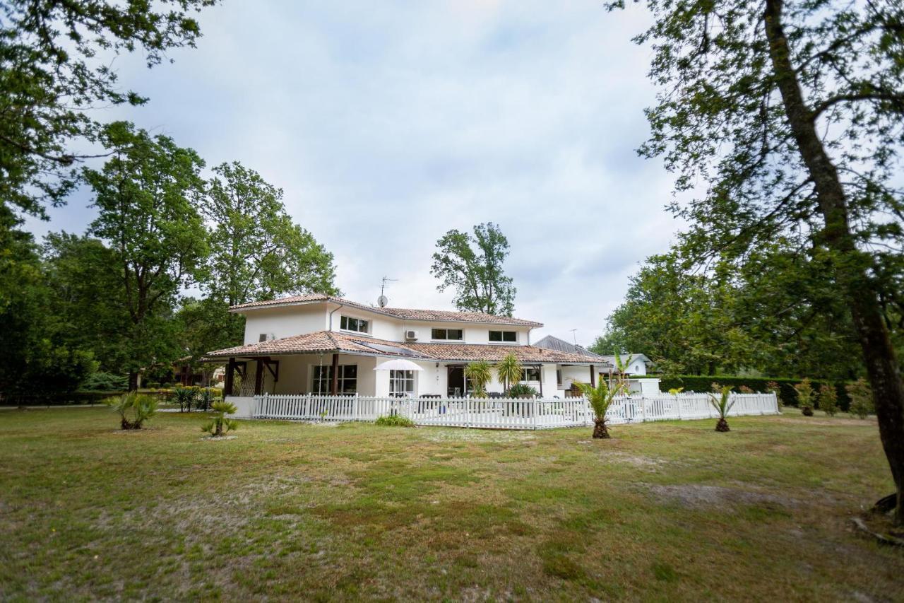 La Villa Minvia Les Landes Entre Mer Et Montagne Saint-Vincent-de-Paul  Екстериор снимка